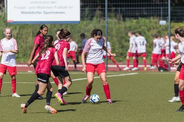 Bild 204 - wBJ Walddoerfer - Eimsbuettler TV : Ergebnis: 1:6